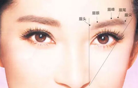 眉毛部位