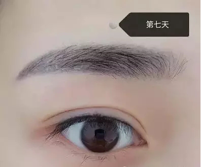 12.png